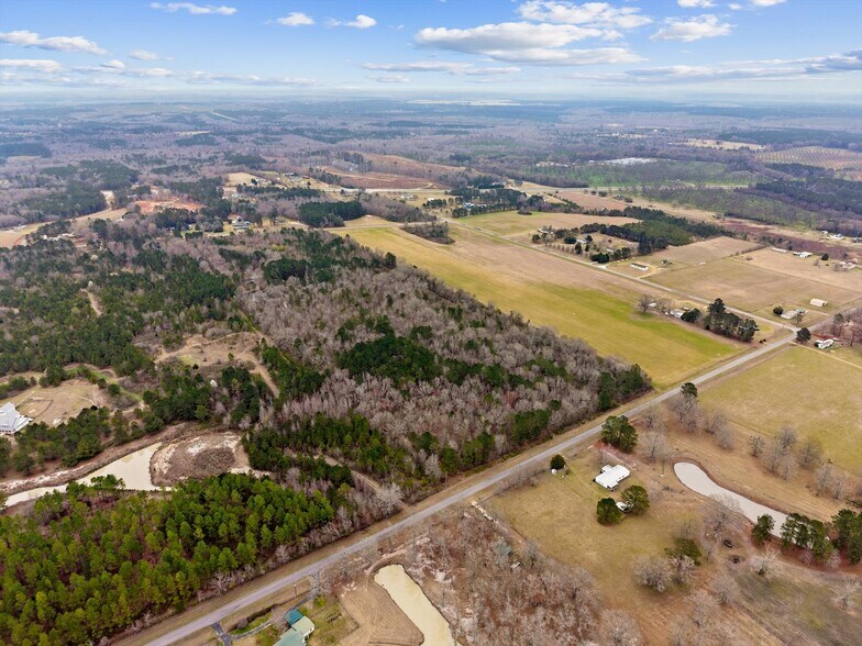 More Photos Of 250 Lee Paul Rd, Hawkinsville Land For Sale