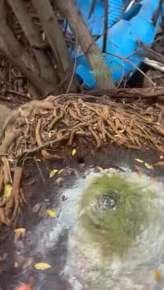 Primary Photo Of 318 Mamie St, Chokoloskee Land For Sale