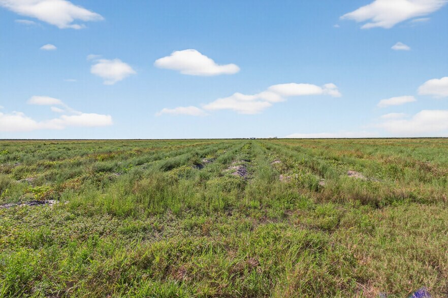 More Photos Of 8476 Ten Mile Grade, Zolfo Springs Land For Sale