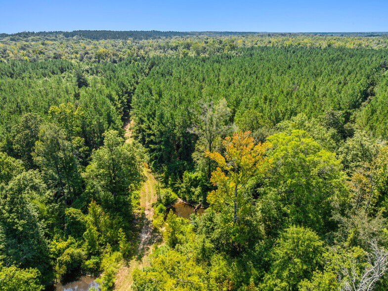 More Photos Of 7471 Highway 155, Saline Land For Sale