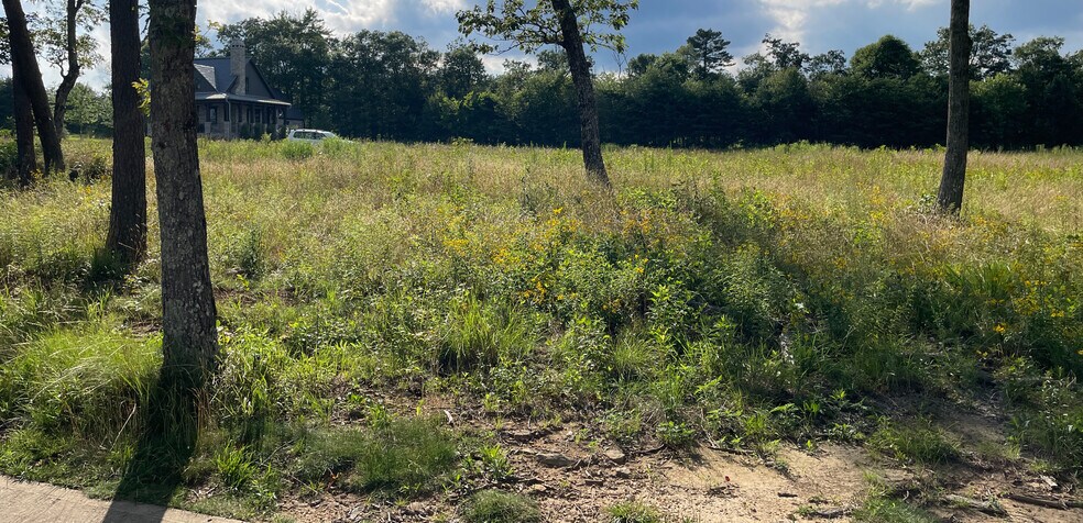 More Photos Of 0 Clubhouse Lane Ln, Rising Fawn Land For Sale