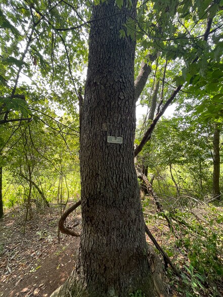 More Photos Of 10411 Scatell St, Canal Fulton Land For Sale