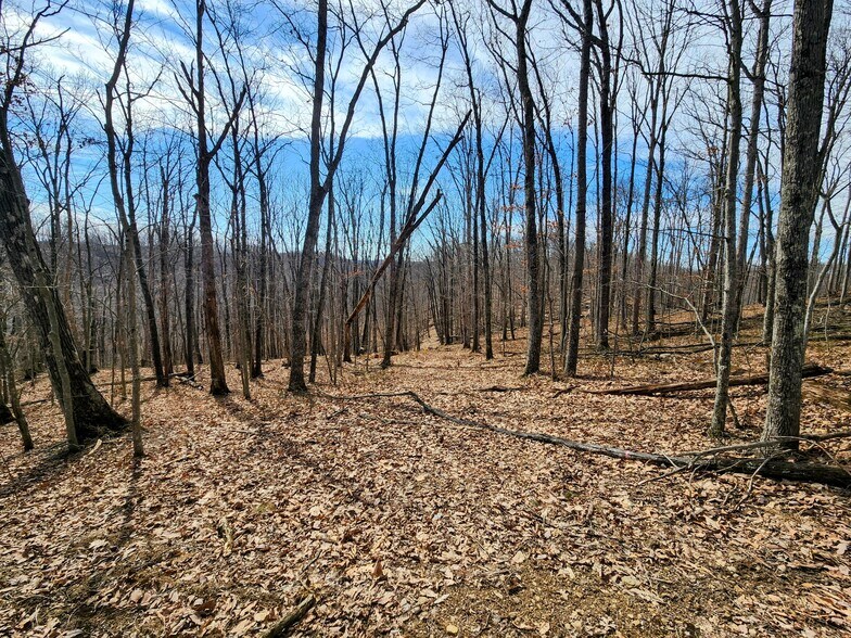 More Photos Of Indian Creek Road Rd, Elkview Land For Sale