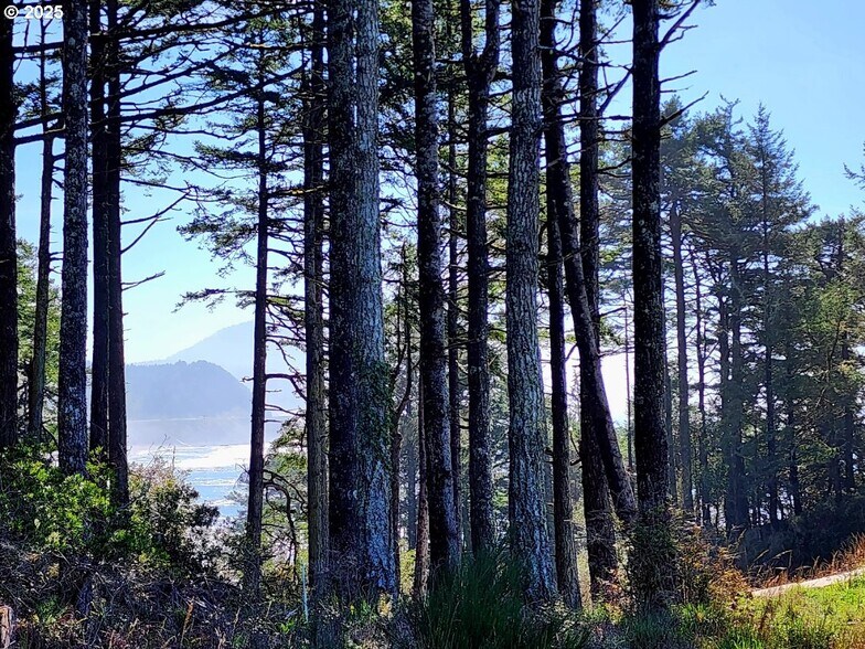 Primary Photo Of Hubbard Ln @ Cemetery Loop Rd, Port Orford Land For Sale