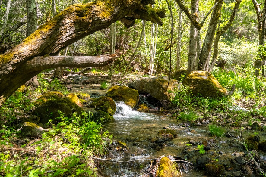 More Photos Of 8555 Signal Ridge Road, Philo Land For Sale