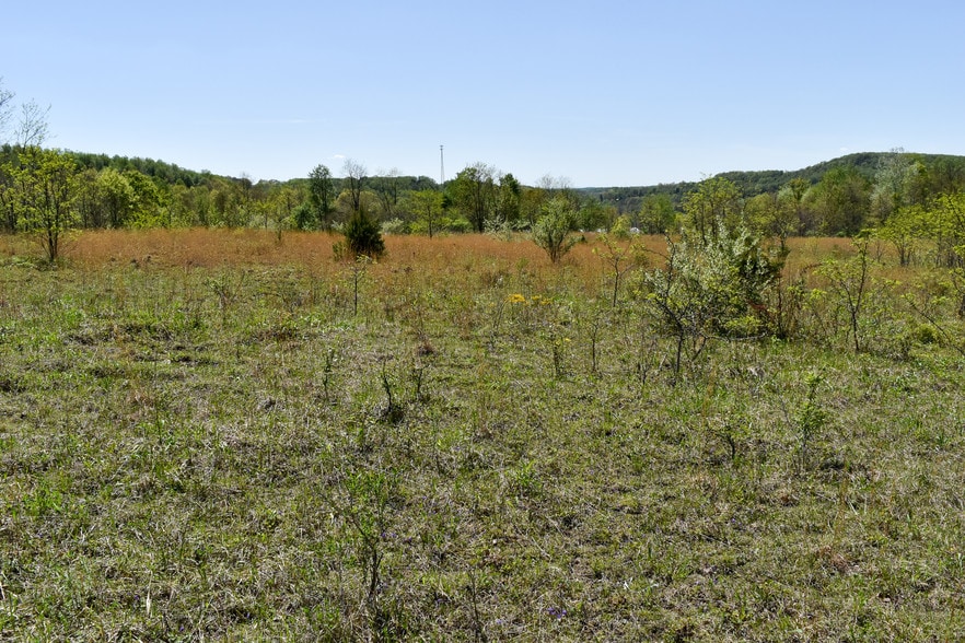 More Photos Of ,  Unknown For Sale