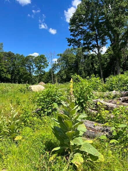 More Photos Of 131 Barclay Dr, Stamford Land For Sale