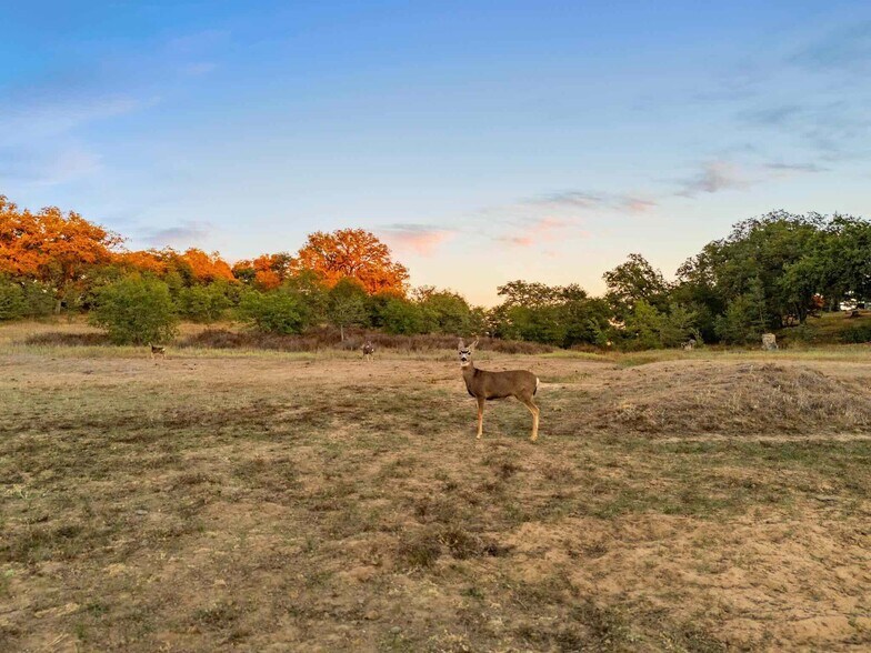 More Photos Of 25258 Mesa Grande Rd, Santa Ysabel Land For Sale