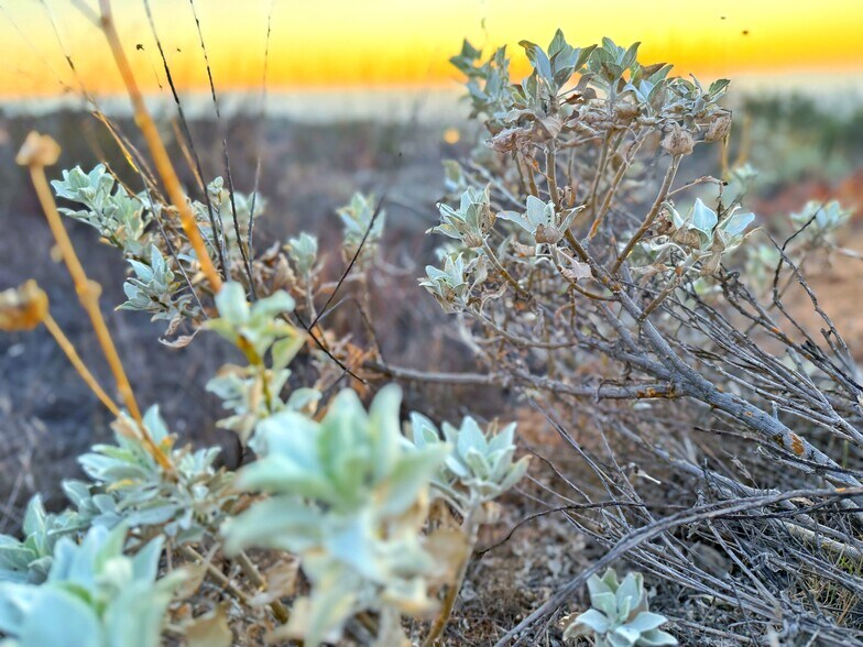 More Photos Of 39280.5 Calle Breve, Temecula Land For Sale