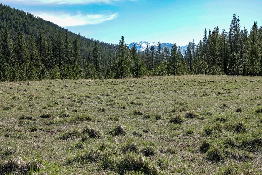 More Photos Of 6409 Kangaroo Creek Rd, Gazelle Land For Sale
