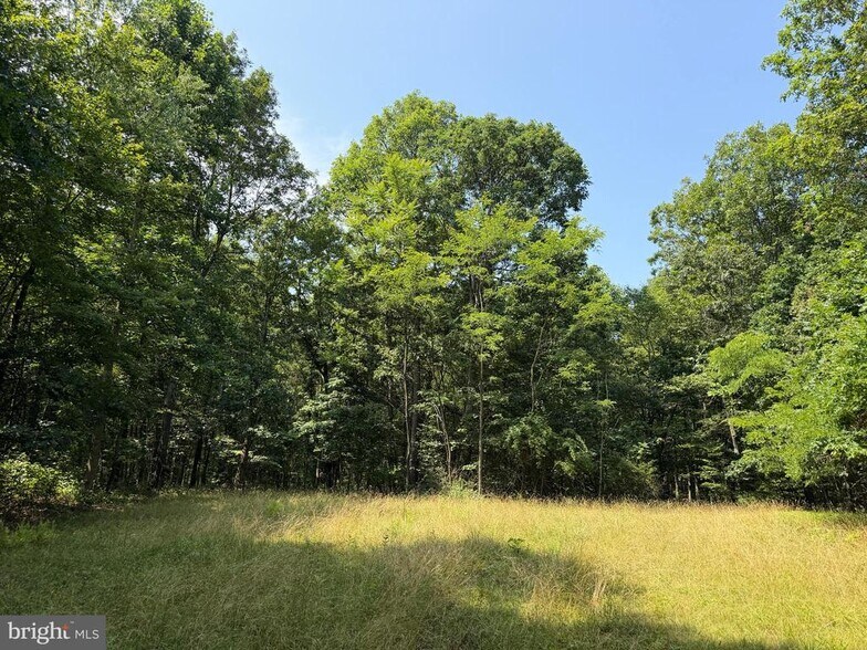 More Photos Of Porter's Ln, Hancock Land For Sale