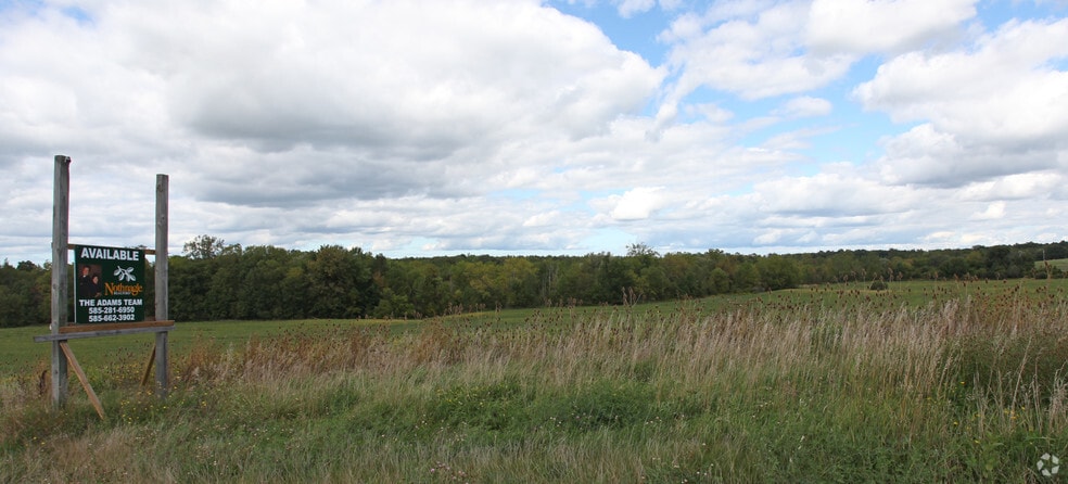 Primary Photo Of 0 Route 5 & 20, Canandaigua Land For Sale