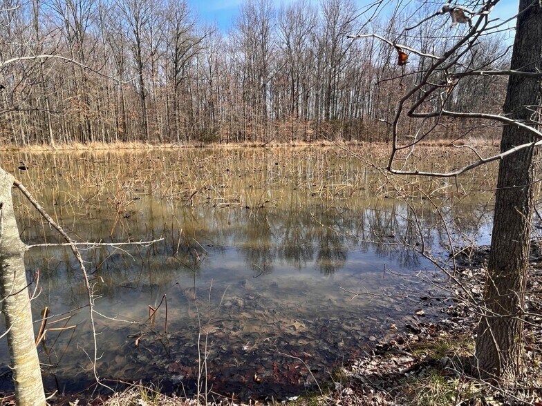 More Photos Of Karampas ln @ eastwood, Williamsburg Land For Lease