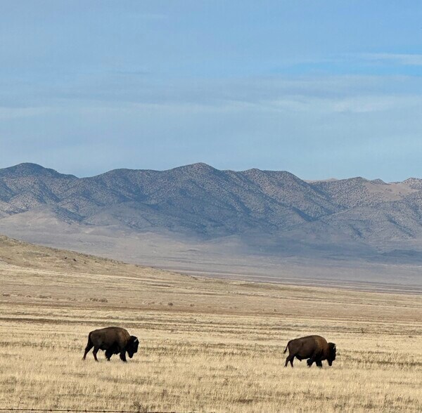More Photos Of No Assigned Address, Dugway Land For Sale