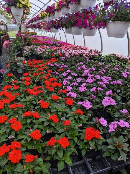 More Photos Of 73 Little York Rd, Warwick Garden Center For Sale