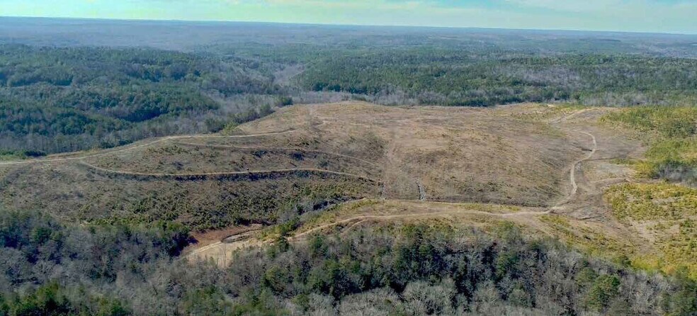 More Photos Of 0 AL 13, Nauvoo Land For Sale