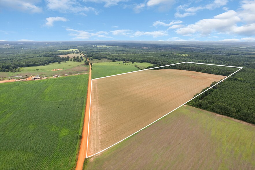 More Photos Of 0 Old Stage rd, Repton Land For Sale