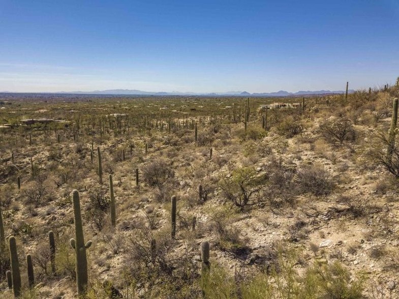 12825 E Cabeza De Vaca St  