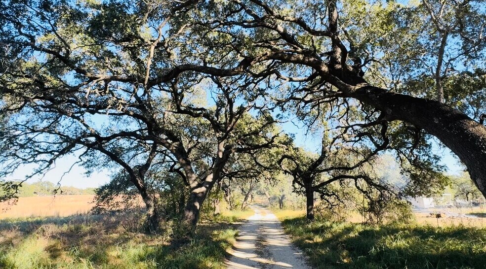More Photos Of 10382 W FM 476, Poteet Land For Sale