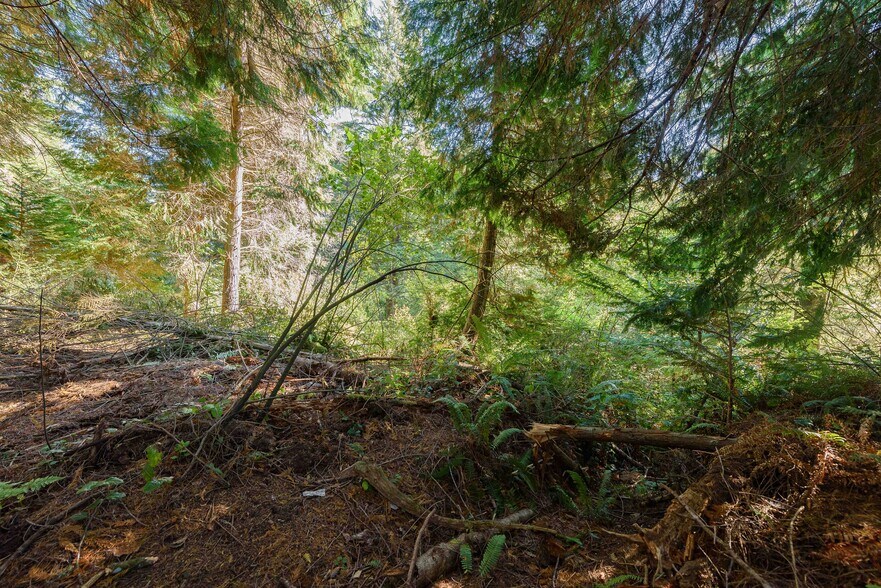 More Photos Of 0 Newmark ave, North Bend Land For Sale