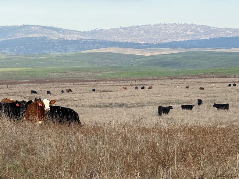 More Photos Of Dunton Rd @ CA Hwy 4, Oakdale Land For Sale
