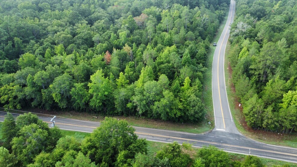 More Photos Of 7469 HIGHWAY 69, Tyler Land For Sale