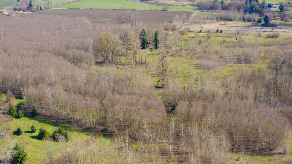 More Photos Of 2323 Lindgren Rd, Mount Vernon Land For Sale