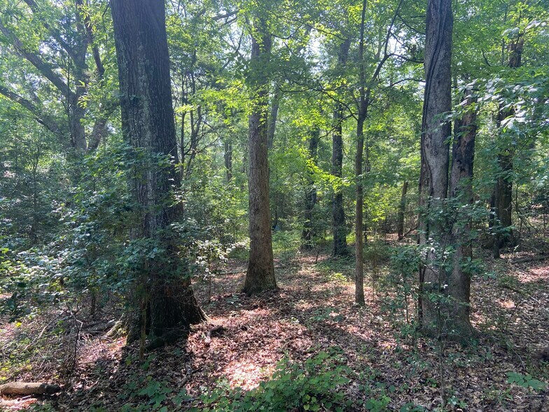 More Photos Of Terry Shop Rd, Fountain Inn Land For Sale
