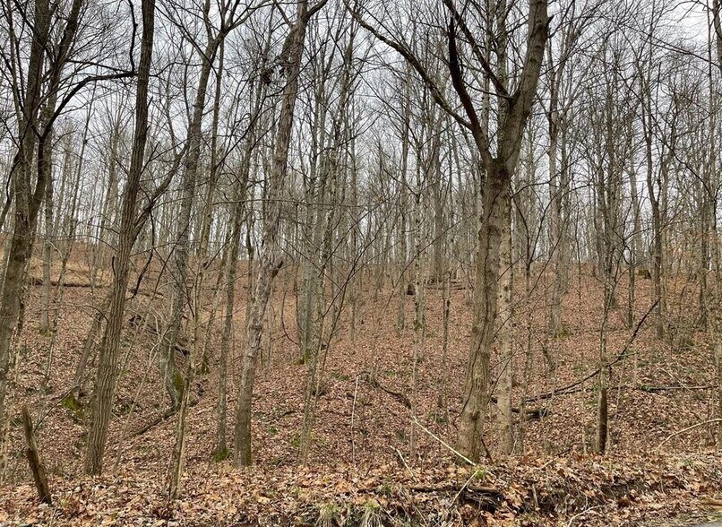 More Photos Of 5700 Charleston Rd, Leon Land For Sale