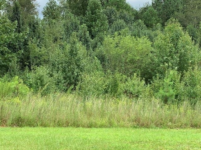More Photos Of 7322 Tribble Gap Rd, Alto Land For Sale