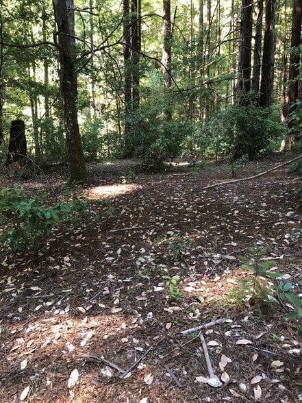 Primary Photo Of 00 Back Road, La Honda Land For Sale