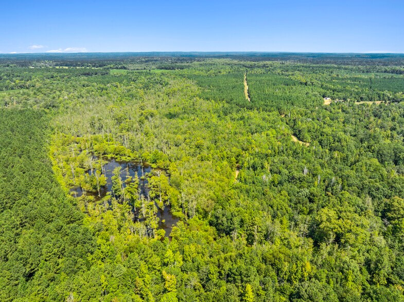 More Photos Of 7471 Highway 155, Saline Land For Sale