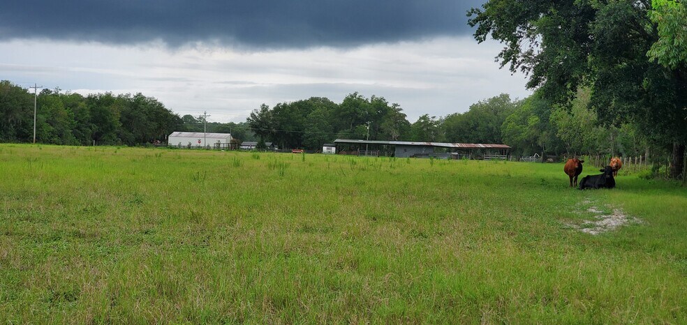 More Photos Of 16787 148th Terr Rd, Fort Mc Coy Land For Sale