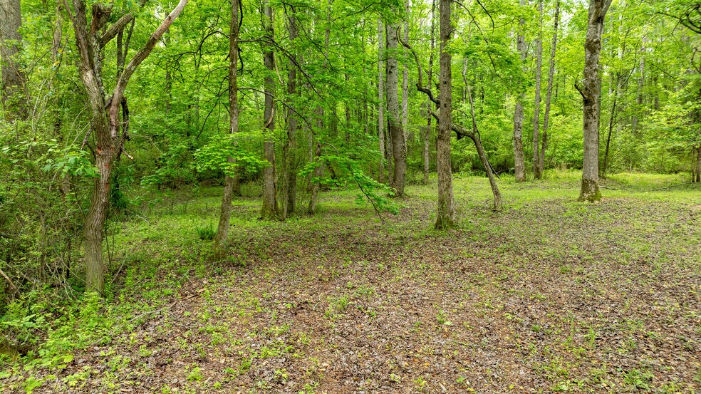 More Photos Of 485 Polk Rd, Moreland Land For Sale