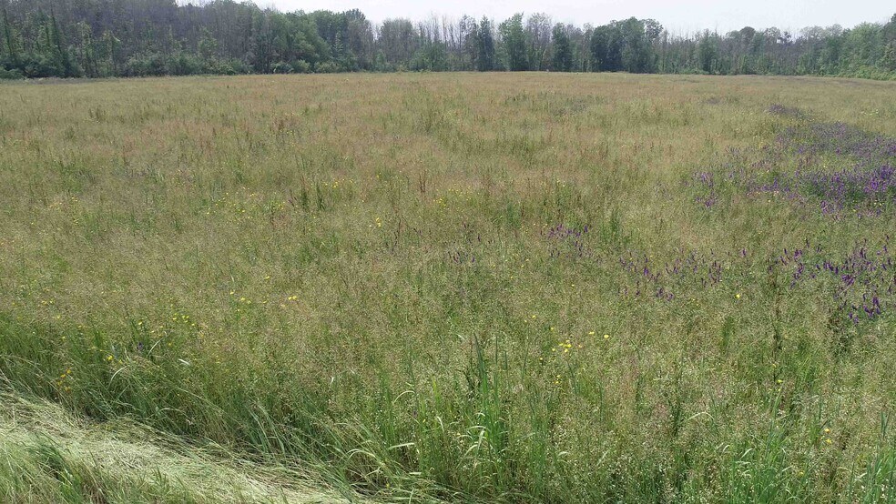 More Photos Of 12 Schroeppel Rd, Pennellville Land For Sale