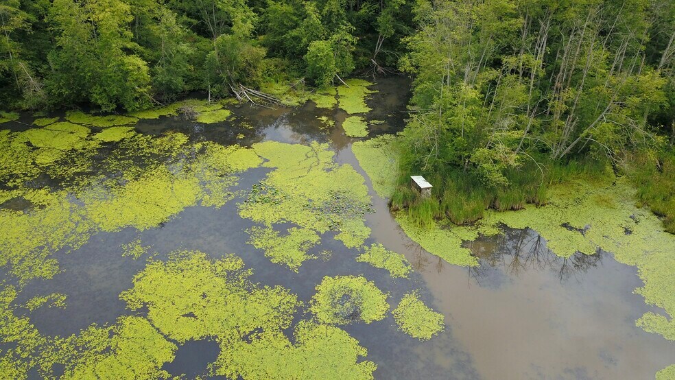 More Photos Of 8610 White Rd, Blaine Land For Sale