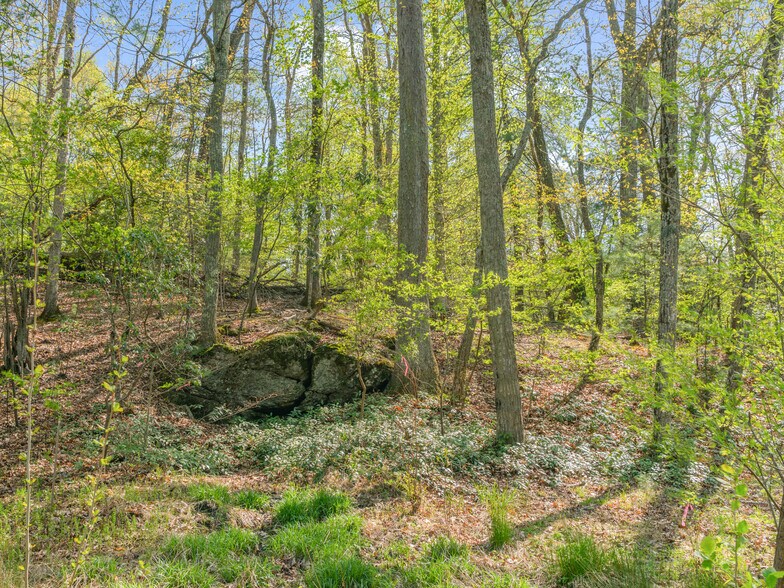 More Photos Of 32 Kay Lou Ln, Arden Land For Sale