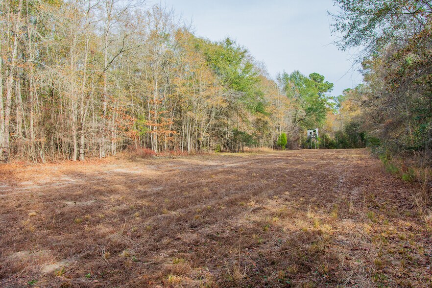 More Photos Of 409 Windward Ave, Orangeburg Land For Sale