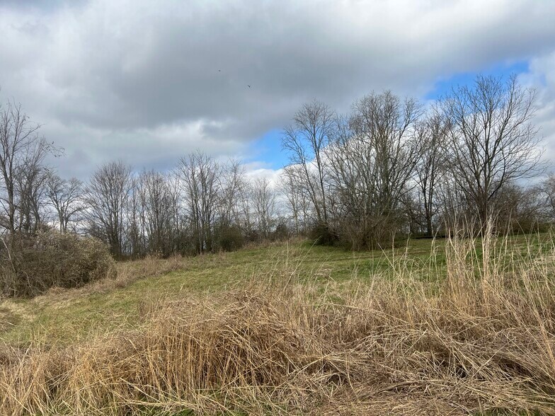 Primary Photo Of 915 1st Ave, Mount Pleasant Land For Sale