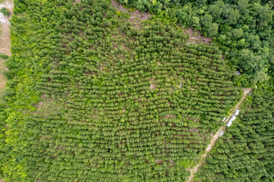 More Photos Of 425 Old River Rd, Bloomingdale Land For Sale