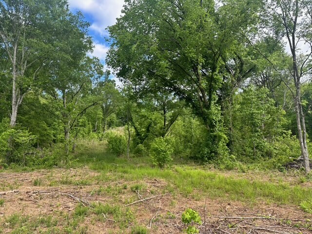 More Photos Of Satcher Road #4 Rd, Taylorsville Land For Sale