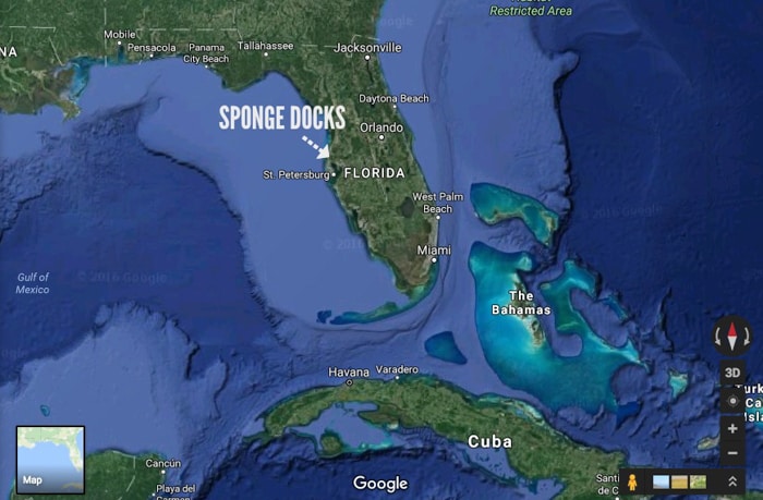 More Photos Of 776 Dodecanese Blvd, Tarpon Springs General Retail For Sale