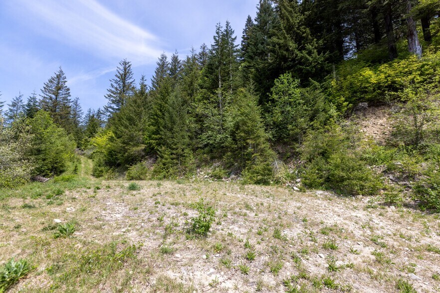 More Photos Of 0 Snag Mountain Road, Washougal Land For Sale