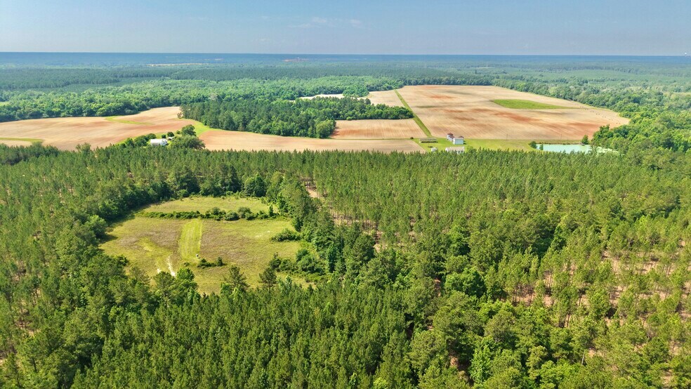 More Photos Of 17675 Cedar Springs Rd, Blakely Land For Sale