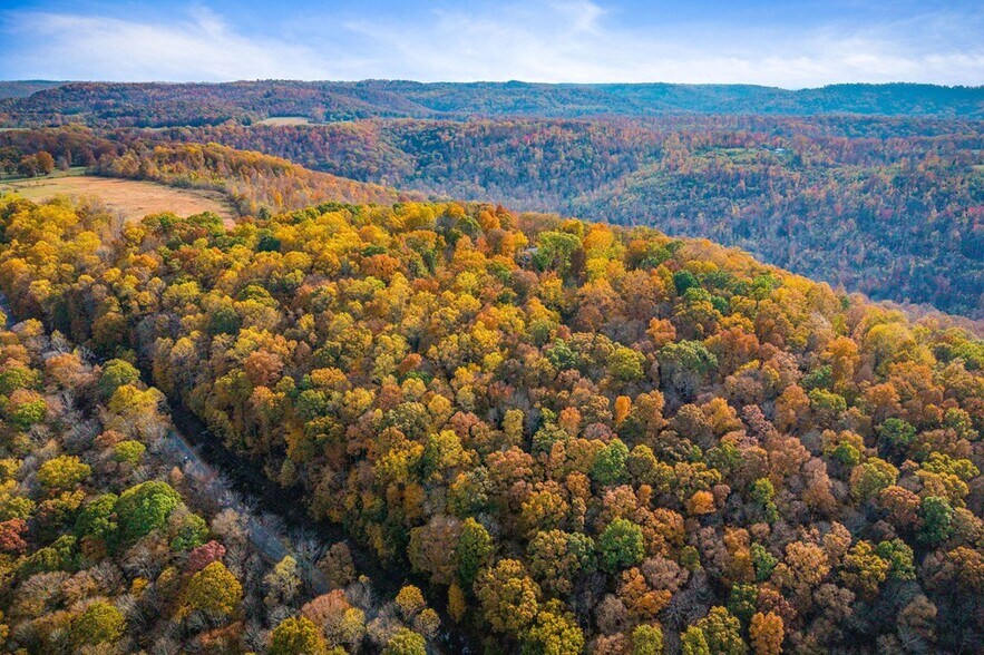 More Photos Of 6211 Rocky Point Rd, Cookeville Specialty For Sale