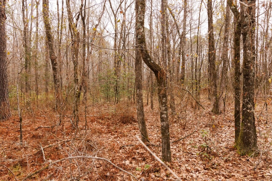 More Photos Of Jug Factory Road, Wetumpka Land For Sale