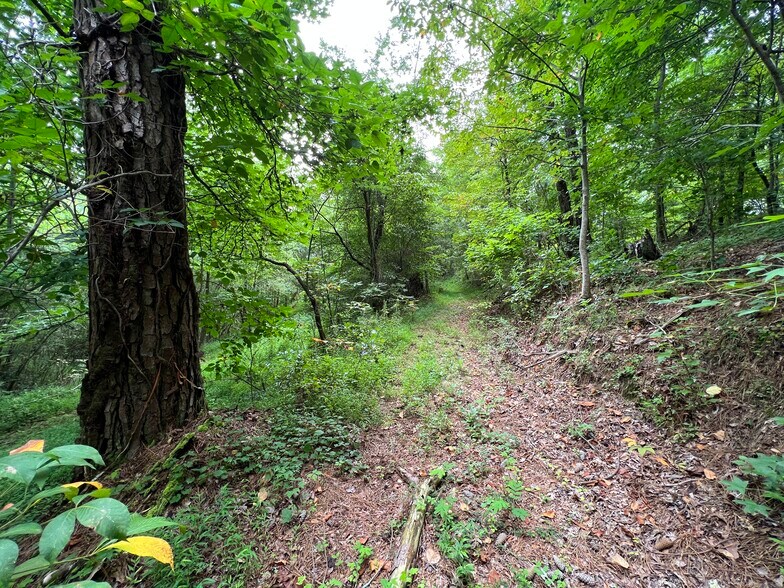 More Photos Of Pinyan, Ranger Land For Sale