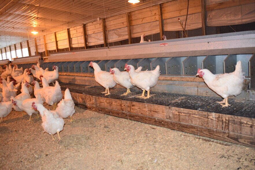 More Photos Of 441 Weaver Rd, Moultrie Land For Sale