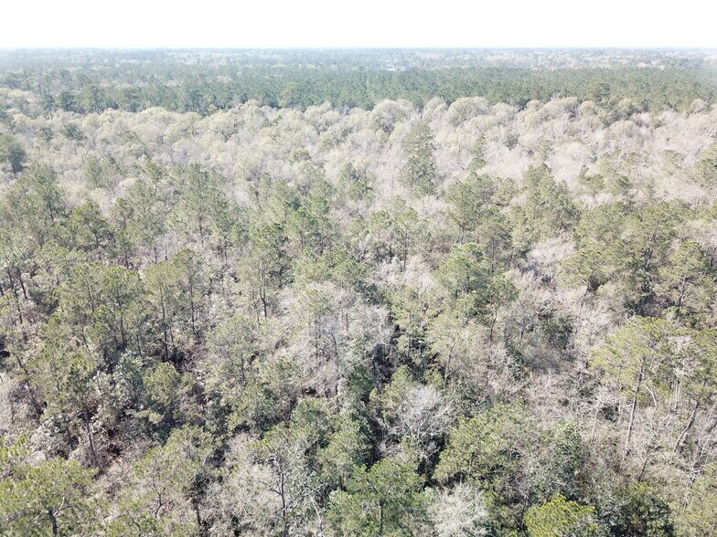 More Photos Of Corrigan Road, Vidor Land For Sale