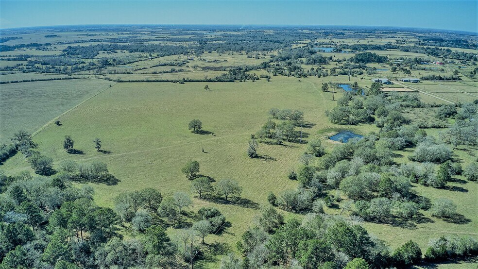 More Photos Of 26266 Fields Store Rd., Waller Land For Sale